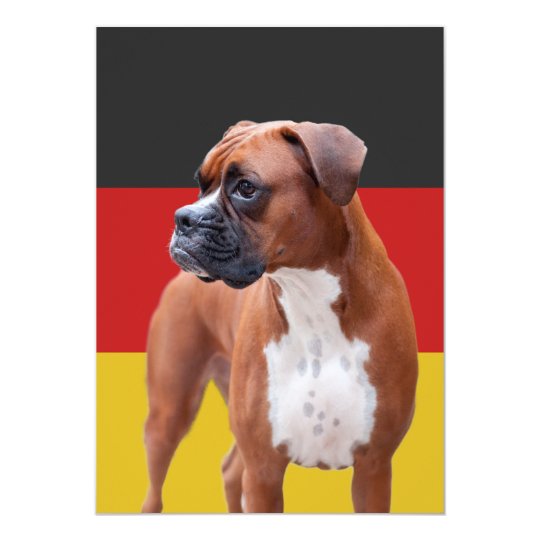 Boxer dog card