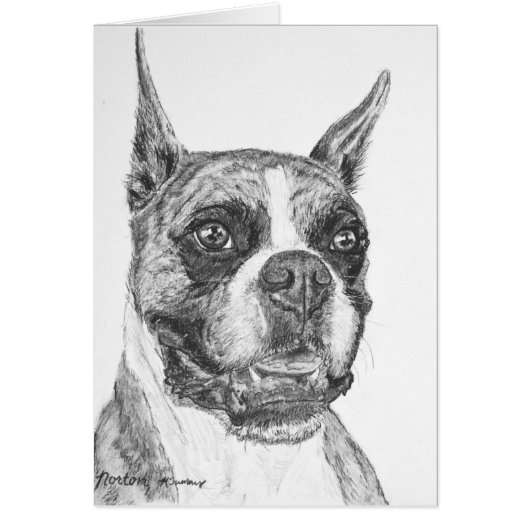 Boxer Dog Cards (Front)