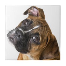 Boxer dog decorative tile