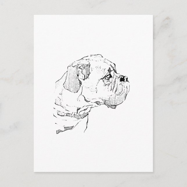 Boxer Dog  – Dog Lover Minimalist Illustration Postcard (Front)