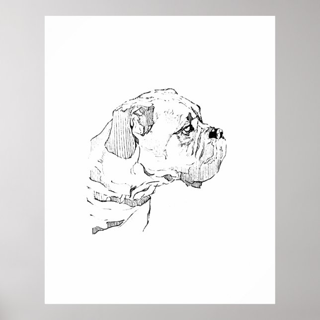 Boxer Dog  – Dog Lover Minimalist Illustration Poster (Front)