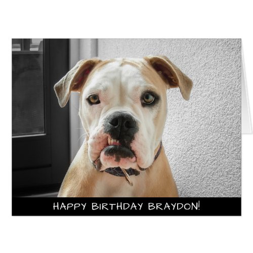 Boxer Dog Extra Large Birthday Card