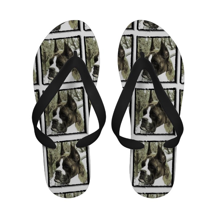Boxer dog flip flops sandals