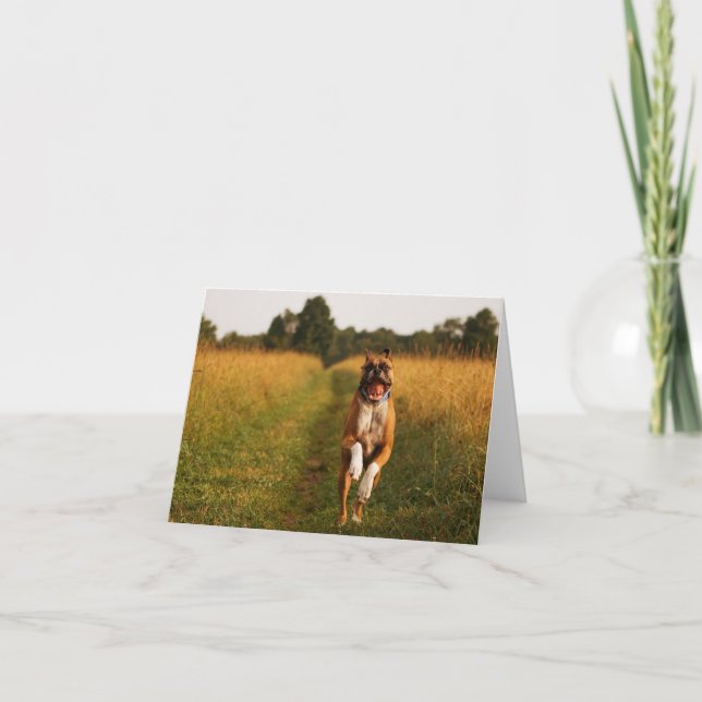 Boxer Dog Greeting Card (Front)