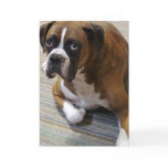 Boxer Dog Greeting Card
