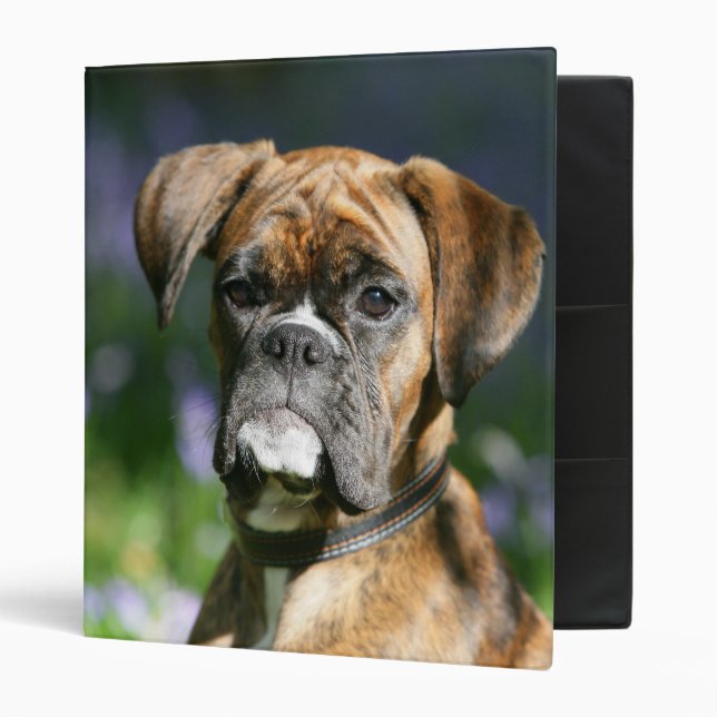 Boxer Dog Headshot Binder (Front/Inside)