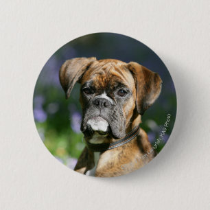 Boxer Dog Headshot Button