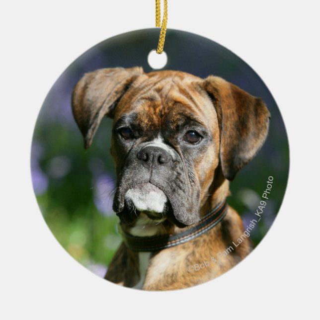 Boxer Dog Headshot Ceramic Ornament (Front)