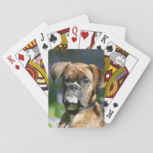 Boxer Dog Headshot Poker Cards