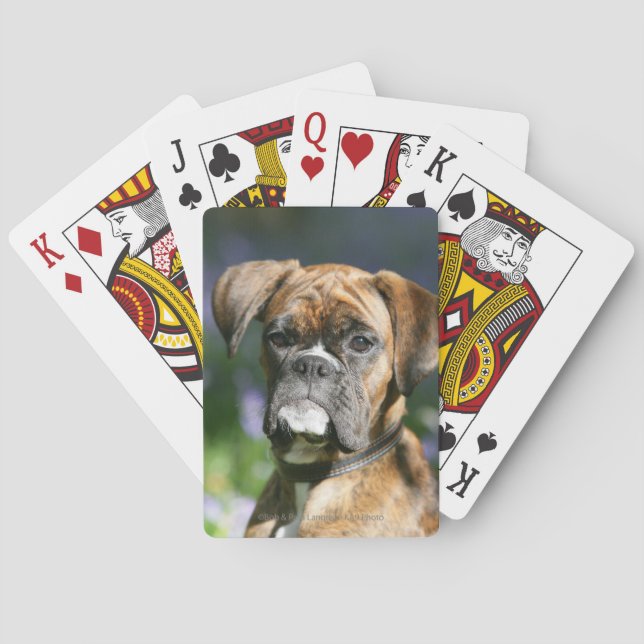 Boxer Dog Headshot Poker Cards (Back)