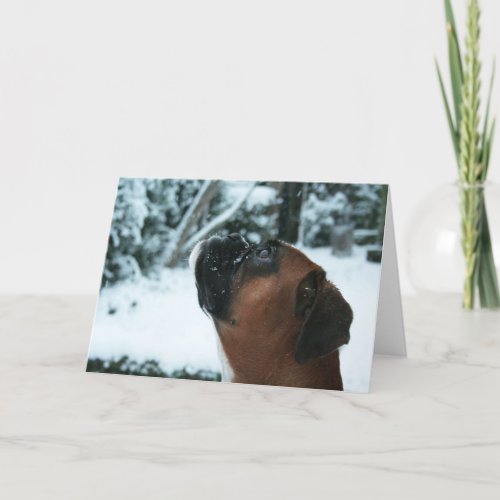 BOXER DOG IN SNOW HOLIDAY CARD
