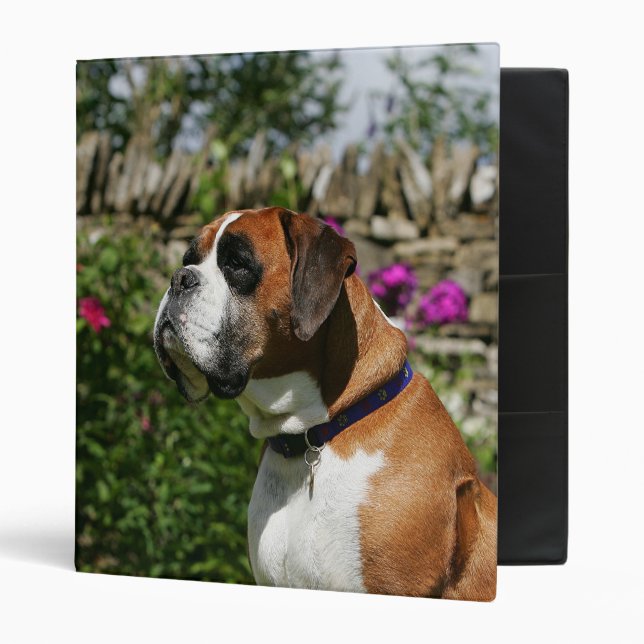 Boxer Dog in the Flowers Binder (Front/Inside)