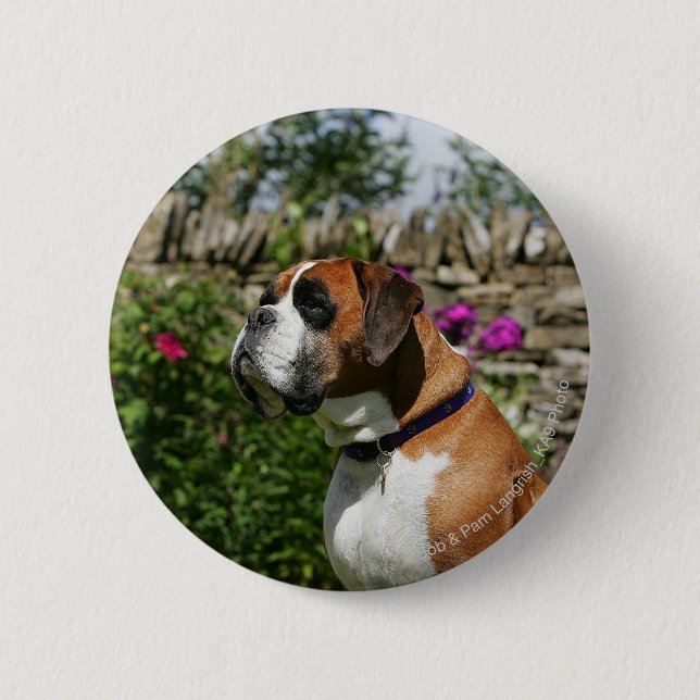 Boxer Dog in the Flowers Pinback Button (Front)