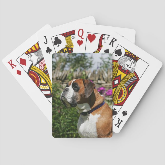 Boxer Dog in the Flowers Poker Cards (Back)