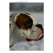 Boxer Dog in the Snow (Front)