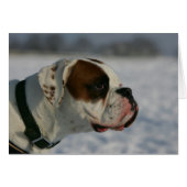 Boxer Dog in the Snow (Front Horizontal)