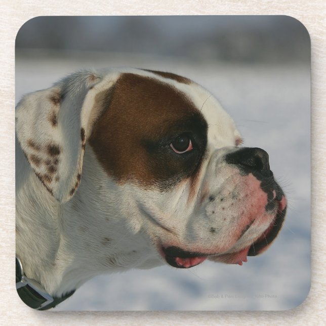 Boxer Dog in the Snow Drink Coaster (Front)