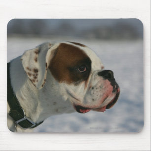 Boxer Dog in the Snow Mouse Pad