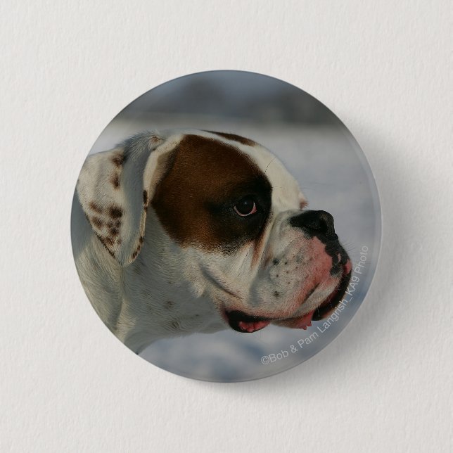 Boxer Dog in the Snow Pinback Button (Front)