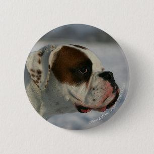 Boxer Dog in the Snow Pinback Button