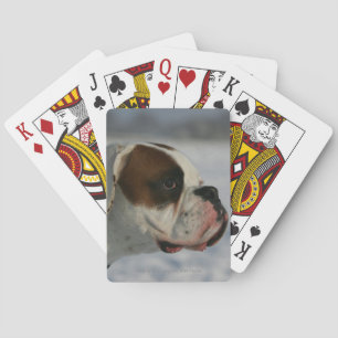 Boxer Dog in the Snow Poker Cards