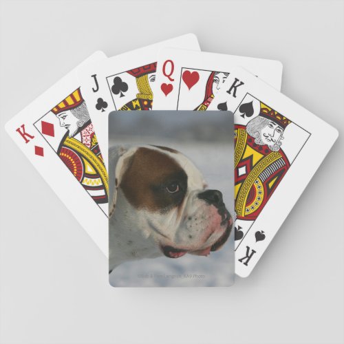 Boxer Dog in the Snow Poker Cards