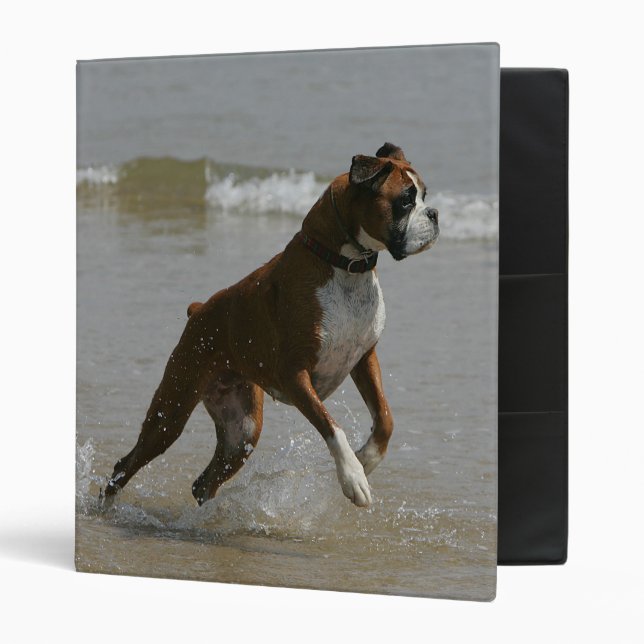 Boxer Dog in Water Binder (Front/Inside)