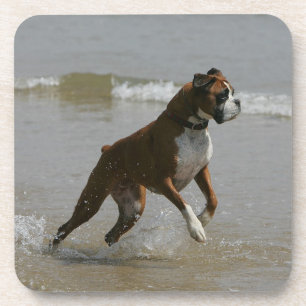 Boxer Dog in Water Drink Coaster