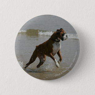 Boxer Dog in Water Pinback Button