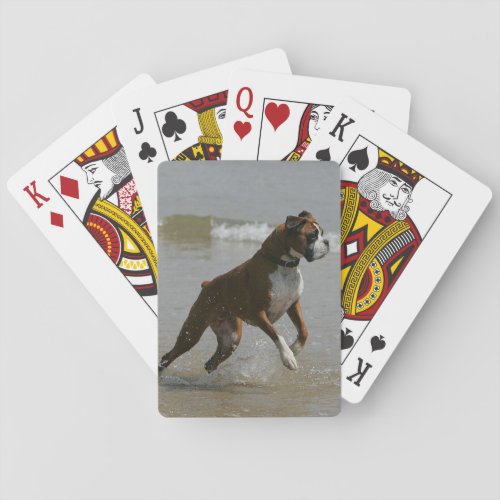 Boxer Dog in Water Poker Cards