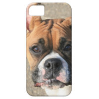 Boxer dog iPhone 5 Barely There Universal Case