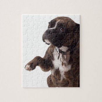 Boxer Dog Jigsaw Puzzle by Jagged_designs at Zazzle