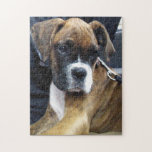 BOXER DOG jigsaw puzzle<br><div class="desc">This adorable little pup was happy to pose for this fun doggy jigsaw puzzle
Model: Spirit</div>
