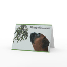Boxer Dog Jolie with Mistletoe