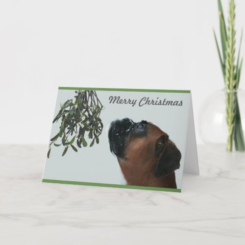 Boxer Dog Jolie with Mistletoe Holiday Card