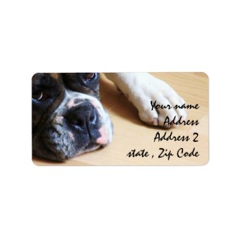 Boxer Dog Label by ritmoboxer at Zazzle