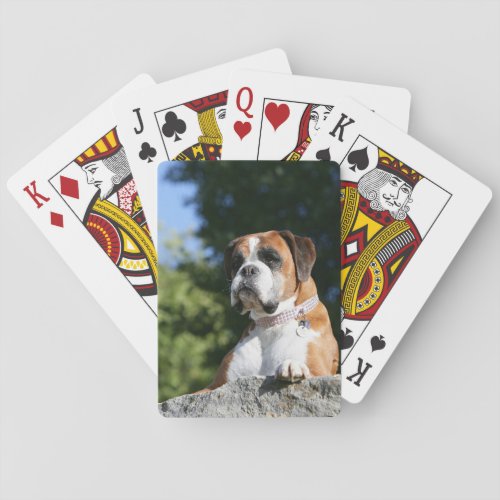 Boxer Dog Laying on a Rock Poker Cards