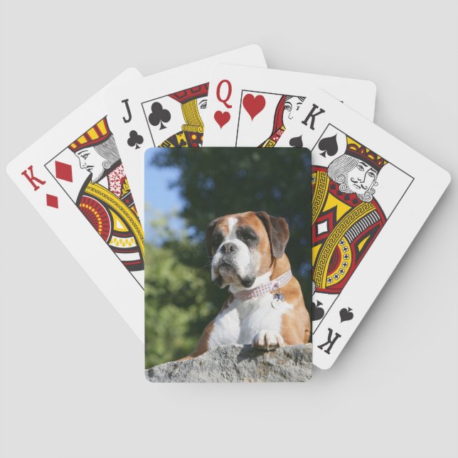 Boxer Dog Laying on a Rock Poker Cards (Back)