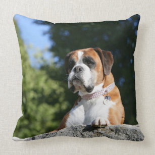 Boxer Dog Laying on a Rock Throw Pillow