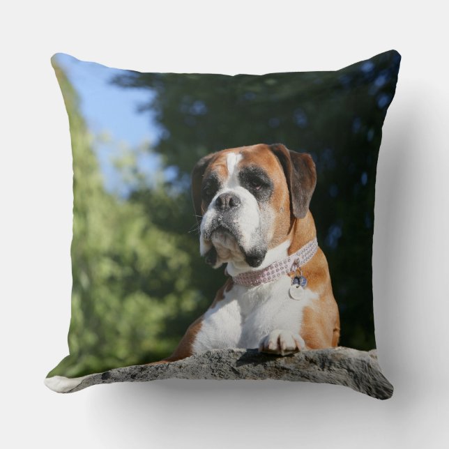 Boxer Dog Laying on a Rock Throw Pillow (Front)
