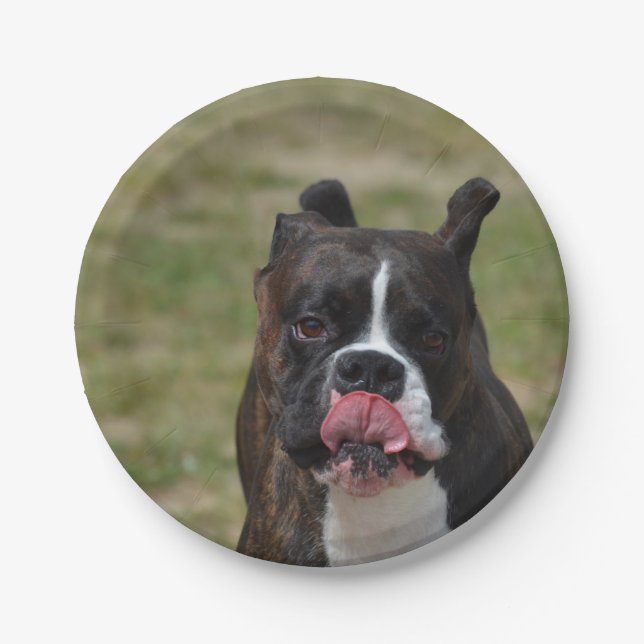 Boxer Dog Licking His Chops Paper Plates (Front)