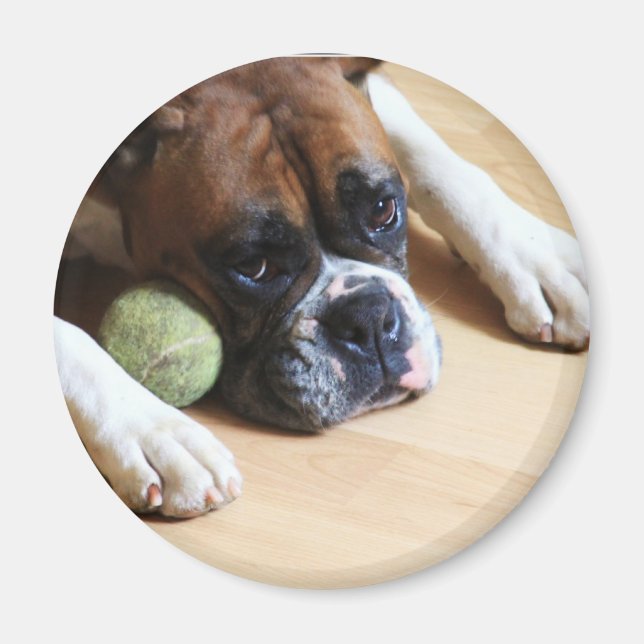 Boxer Dog magnet (Front)