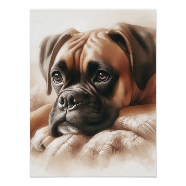 Boxer Dog: Master of Chill & Expert Snuggler Poster (Front)