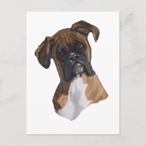 Boxer Dog Oil Pastel Freehand Art Illustration Postcard