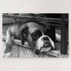 Boxer Dog On Windowsill 20x30 1014pc jpcna Jigsaw Puzzle
