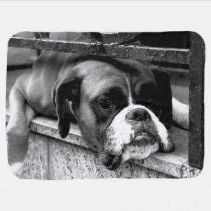 Boxer Dog On Windowsill bbcna Baby Blanket
