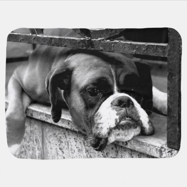 Boxer Dog On Windowsill bbcna Baby Blanket (Horizontal)