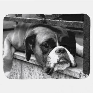 Boxer Dog On Windowsill bbi Baby Blanket