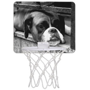 Boxer Dog On Windowsill bga Mini Basketball Hoop