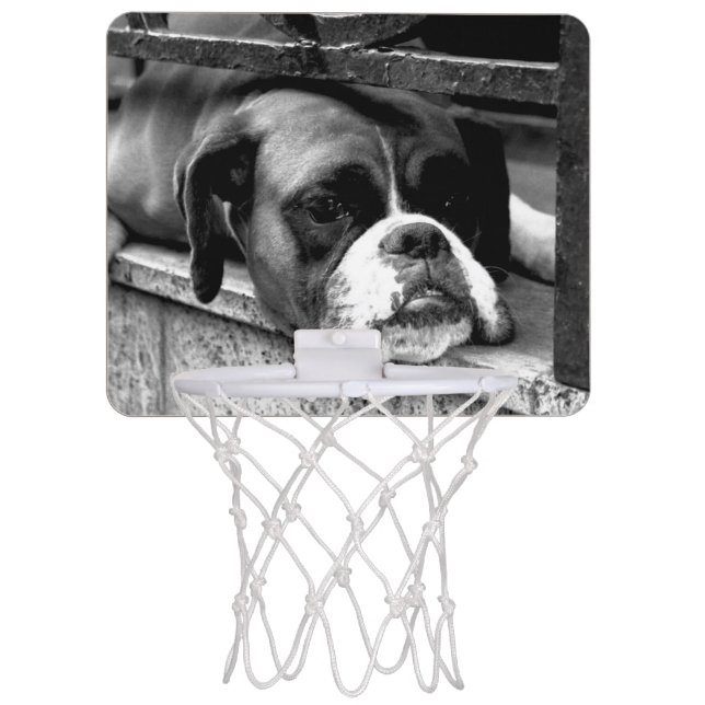 Boxer Dog On Windowsill bga Mini Basketball Hoop (Front)